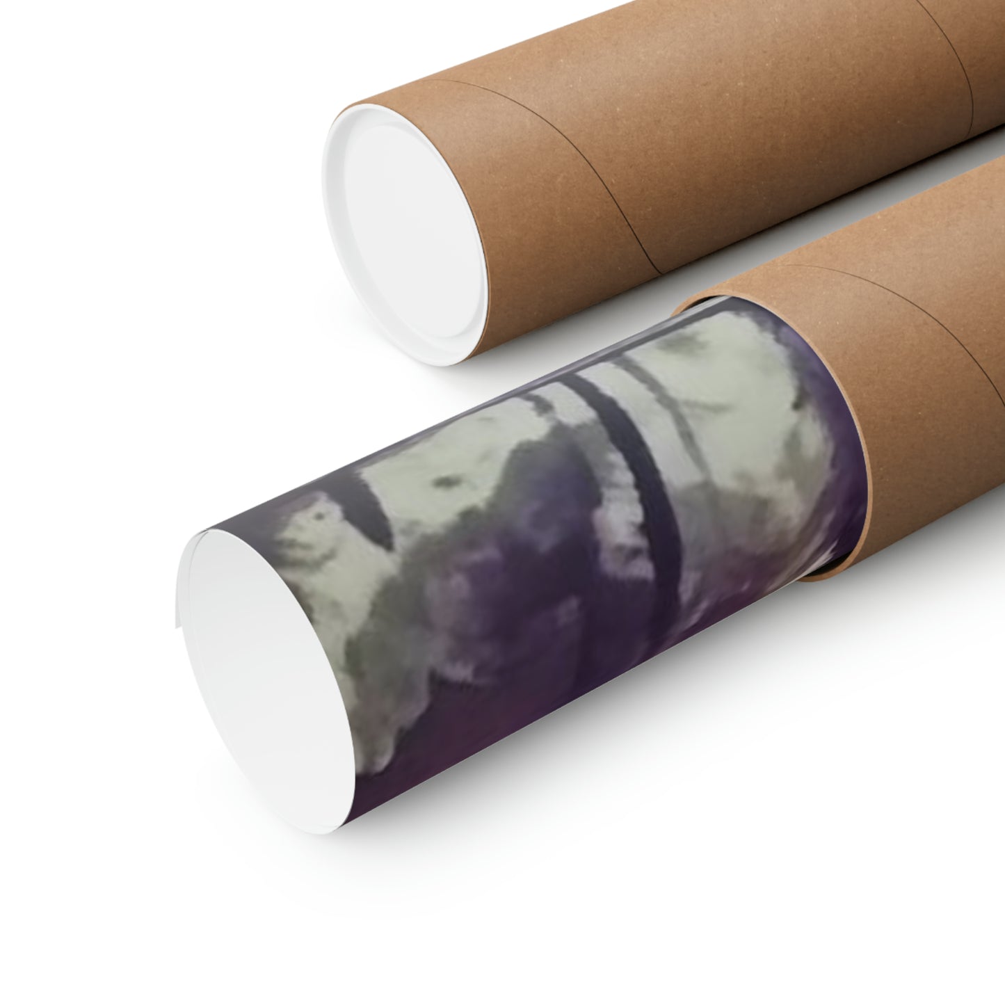 Matte Horizontal Posters